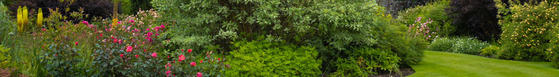 Well stocked garden with variety of flowers and shrubs.