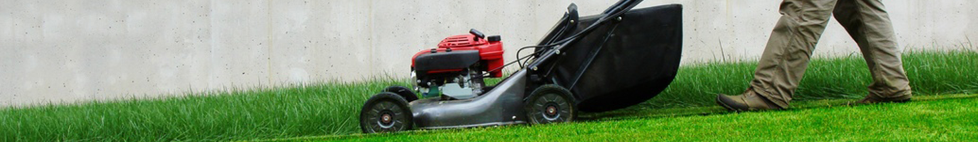 Professional gardener mowing a lawn.
