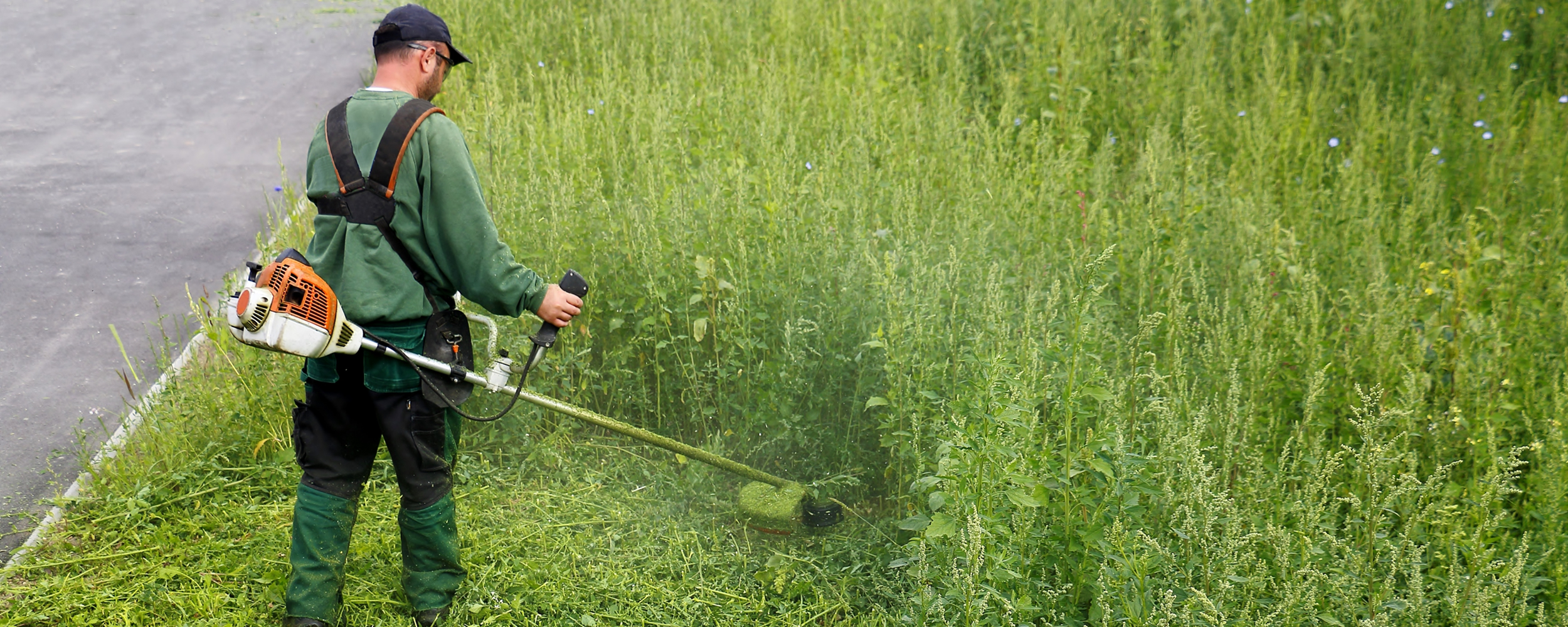 Professional gardener strimming long grass.