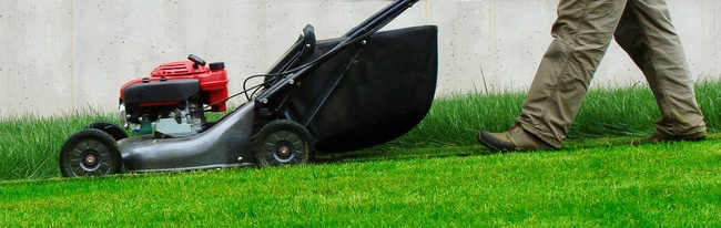Professional gardener mowing a lawn.